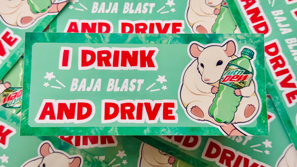 Bumper Sticker Bumper Sticker